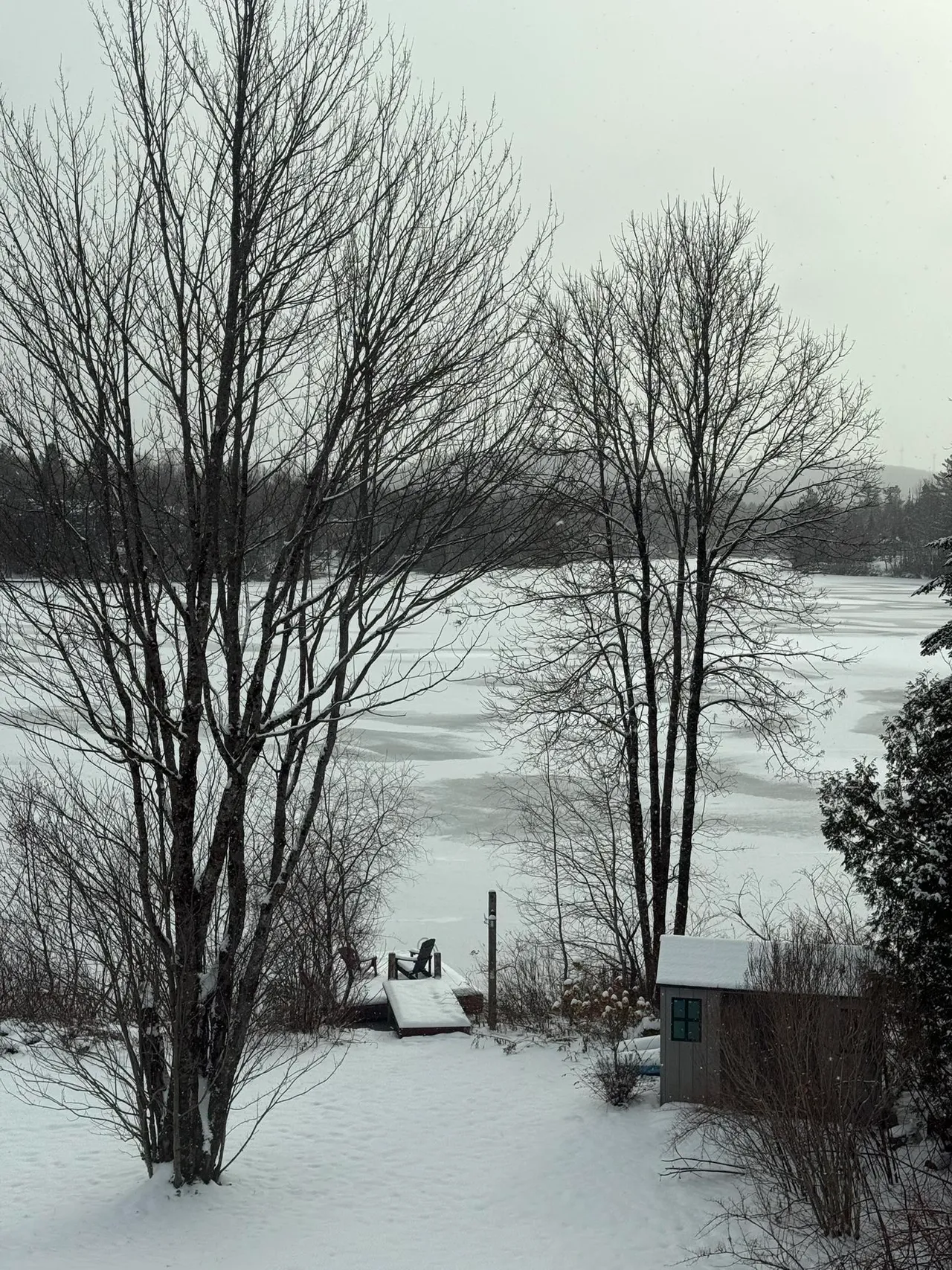 Un lac, ça ne « meurt » pas en hiver.